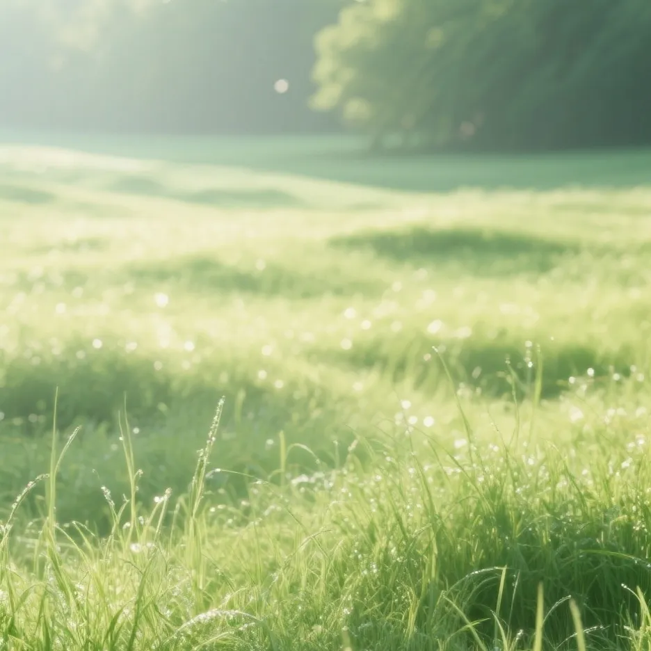 chat with ai character: touch grass 