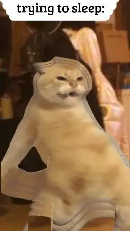 ai character: ton chat Lou background