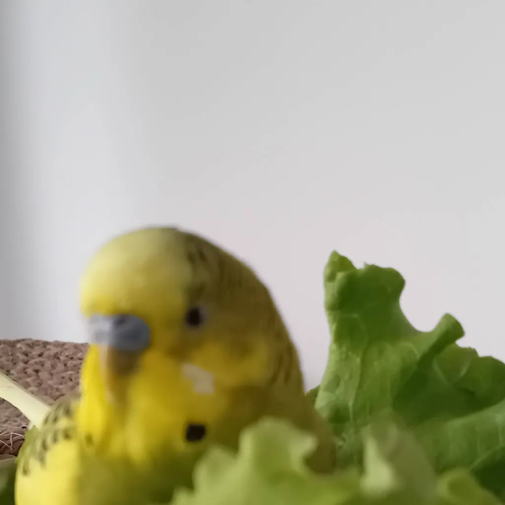 chat with ai character: hybrid