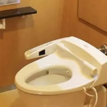 chat with ai character: Toilet in Japan
