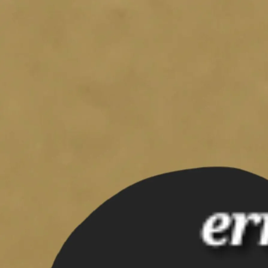 chat with ai character: error lily vs ruru