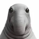 chat with ai character: ждун