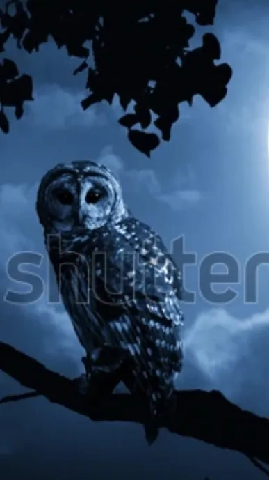 ai character: The night watcher background