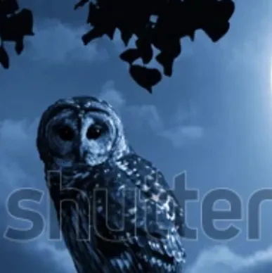 chat with ai character: The night watcher
