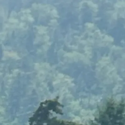 chat with ai character: Gwl x forsaken!