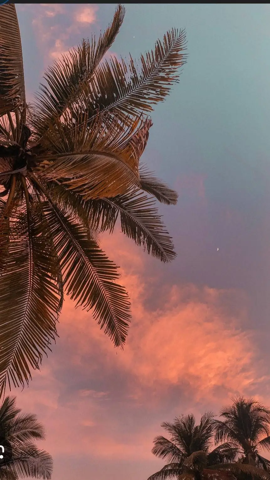 ai character: mitsuri :) background