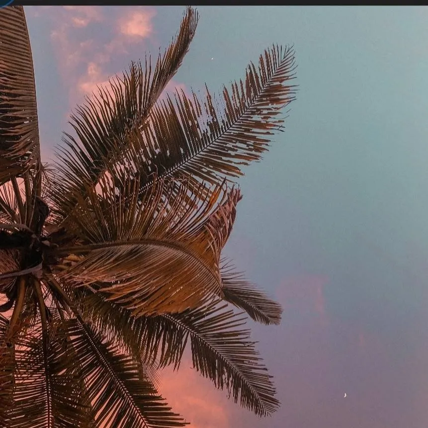 chat with ai character: mitsuri :)