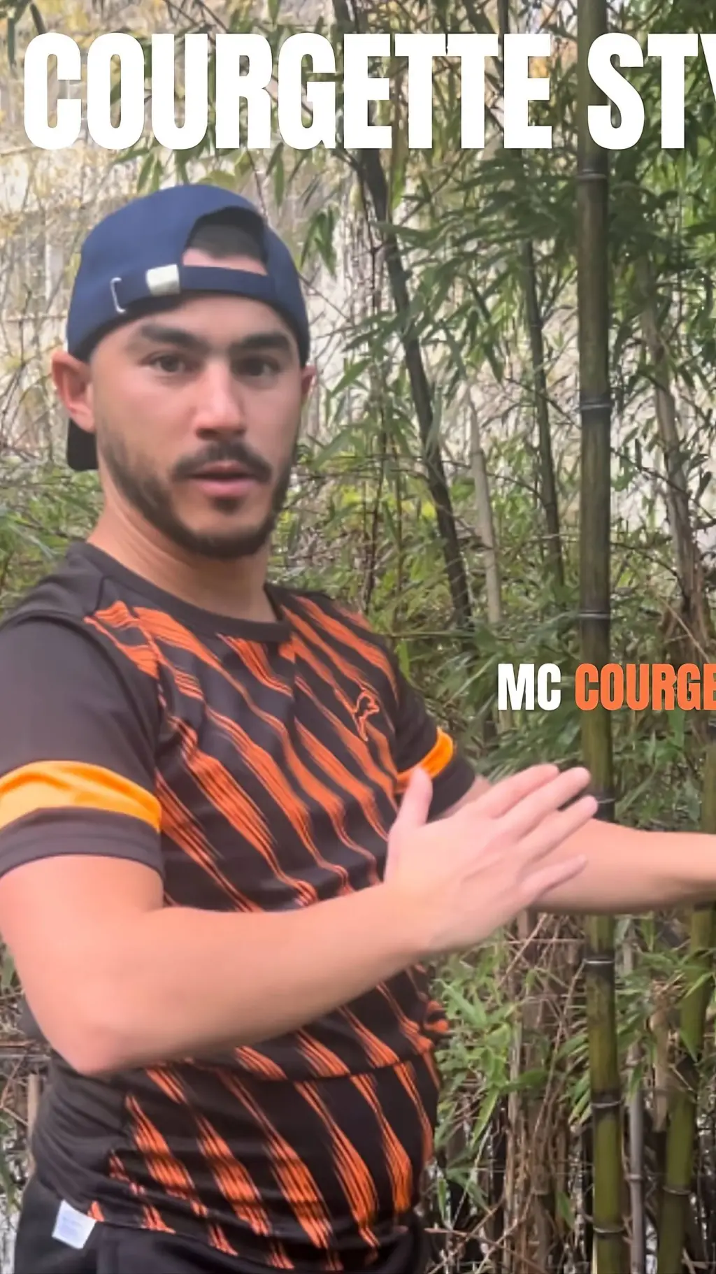 ai character: mc courgette  background