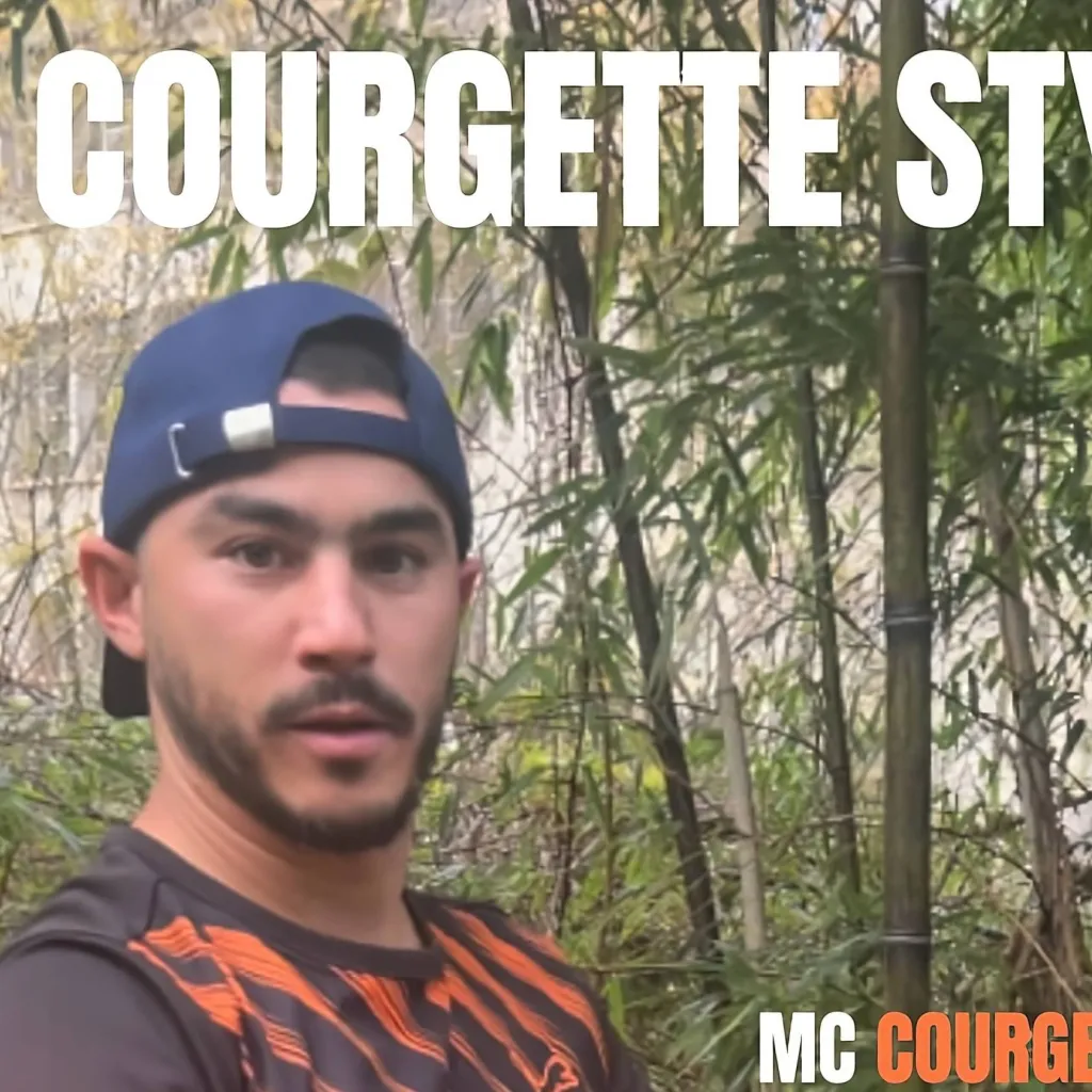 chat with ai character: mc courgette 