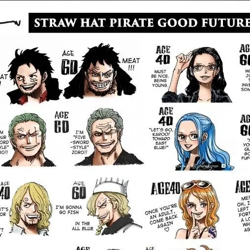 chat with ai character: One piece (Future)