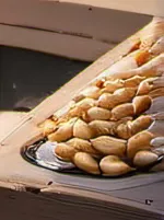 chat with ai character: Round peanut man