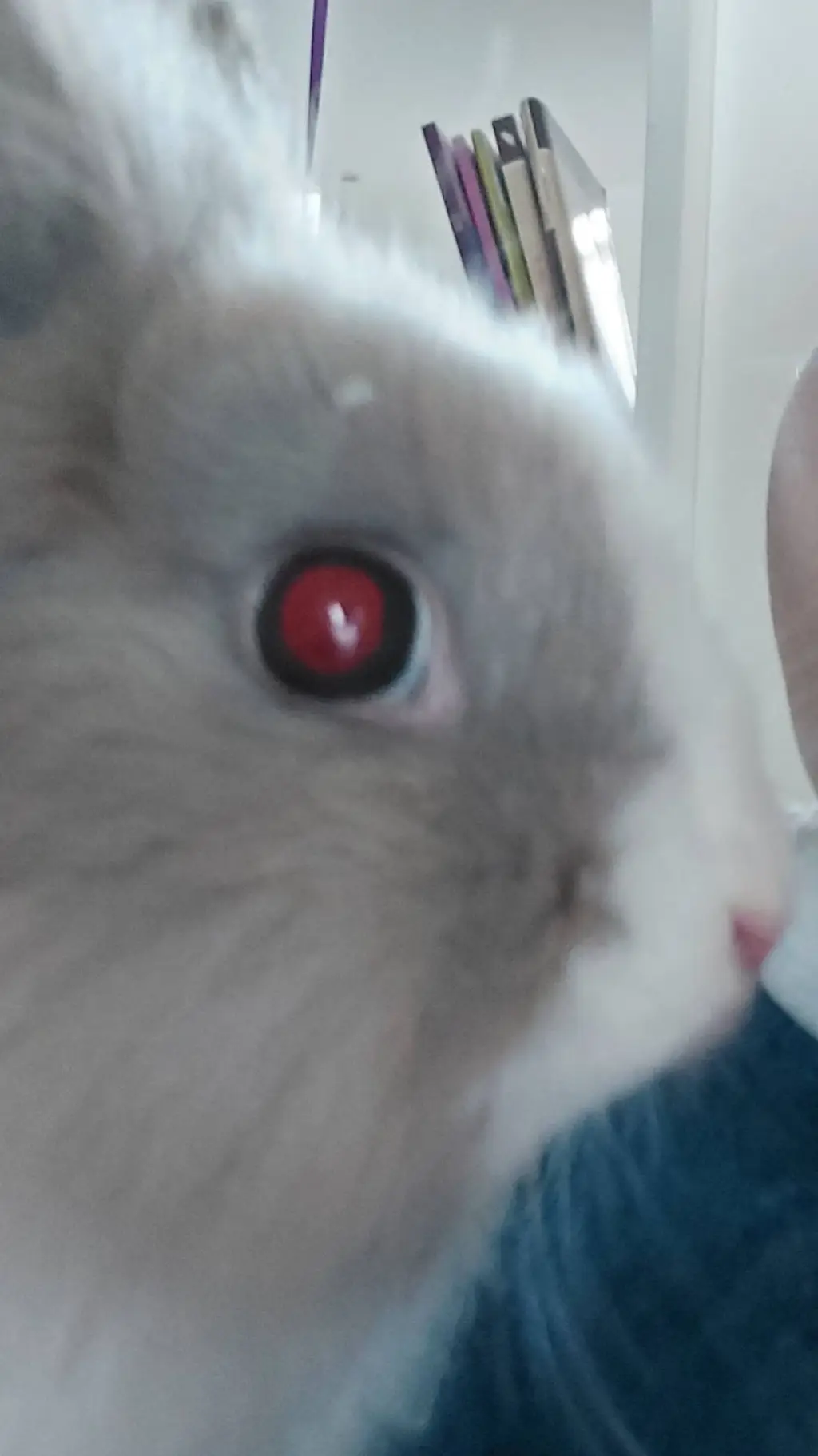 ai character: Dumpling background