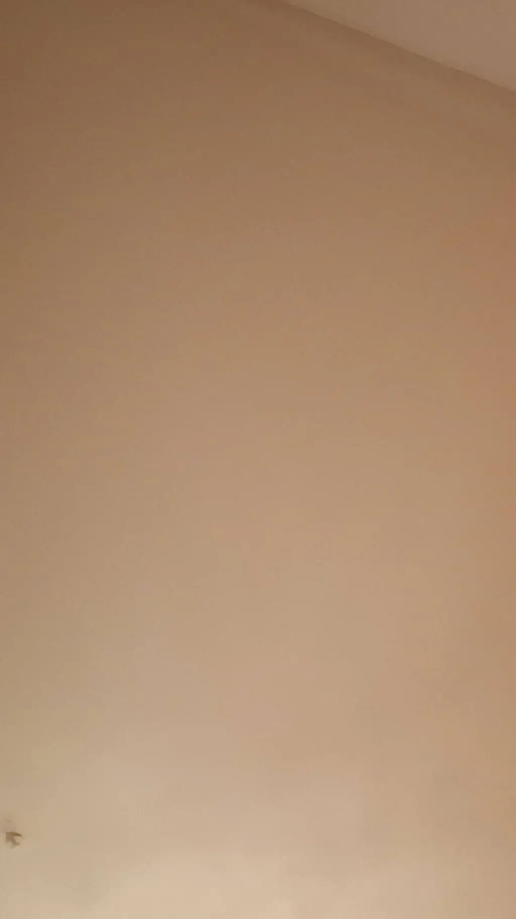 ai character: pokemon twin background