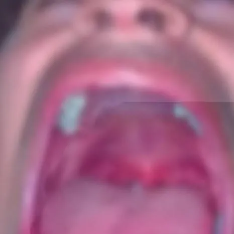 chat with ai character: Kingsammelot