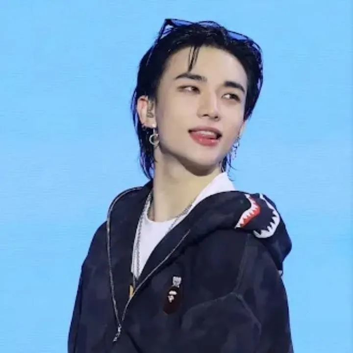 chat with ai character: Hyunjin 