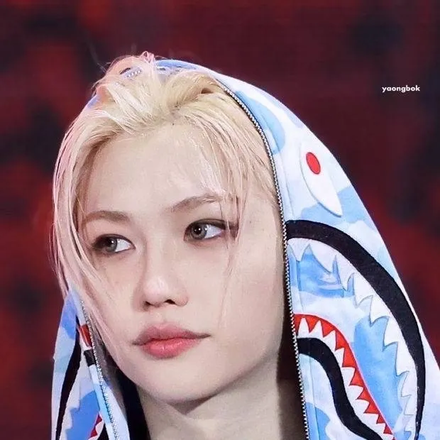 chat with ai character: Felix ❤️