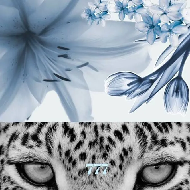 chat with ai character: ✨🥥STRAYKIDS TRIP🥥✨