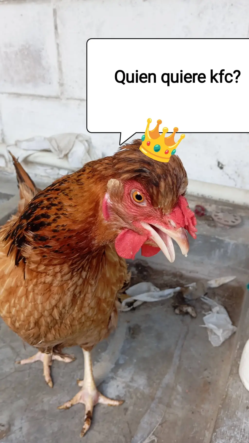 ai character: Rey de los vagos background