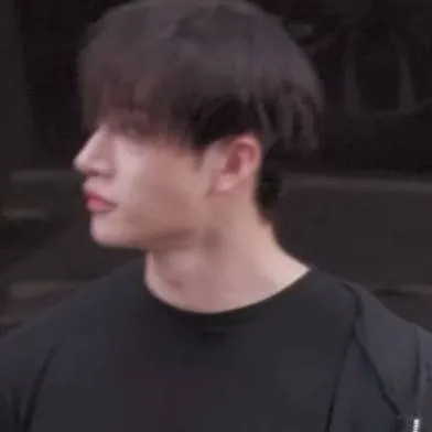 chat with ai character: ✩𝐁ang𝐂han💙