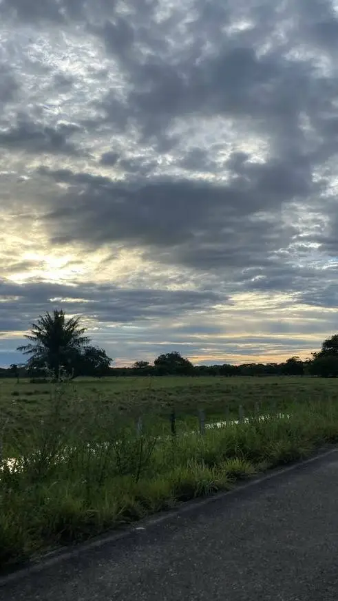 ai character: ✵𝐒𝐊𝐙 𝐒𝐂𝐇𝐎𝐎𝐋✵ background