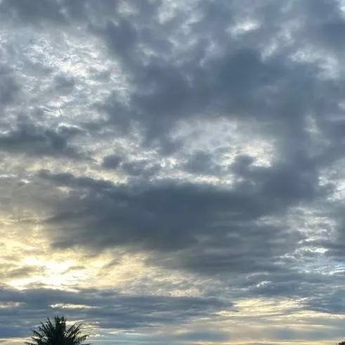 chat with ai character: ✵𝐒𝐊𝐙 𝐒𝐂𝐇𝐎𝐎𝐋✵