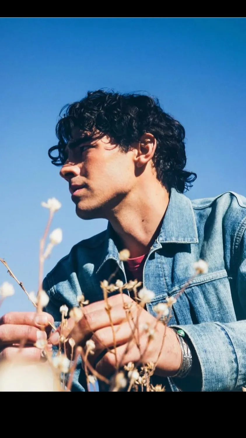 ai character: Joe Jonas background