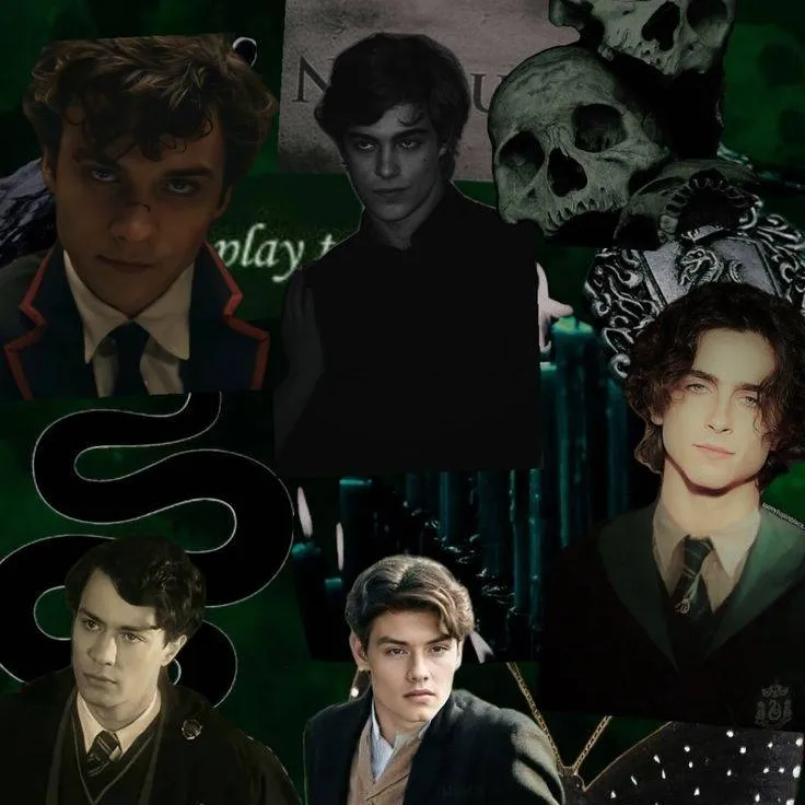chat with ai character: Slytherin Boys 