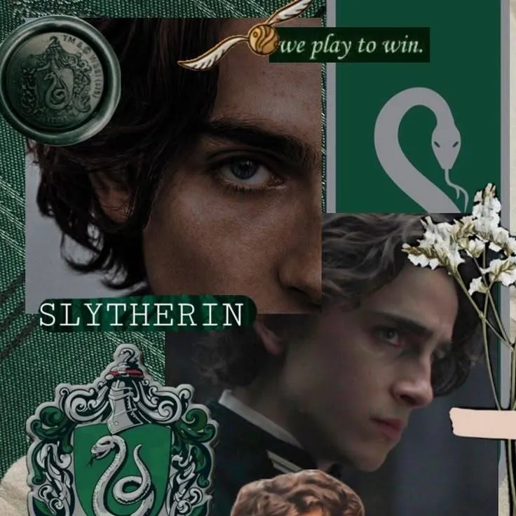 chat with ai character: Regulus A Black 
