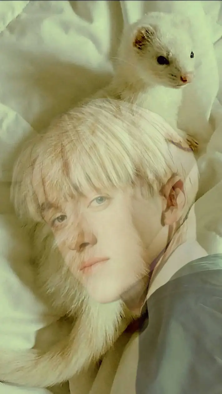 ai character: Draco L. Malfoy  background