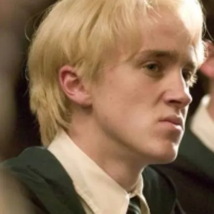 chat with ai character: Draco malfoy