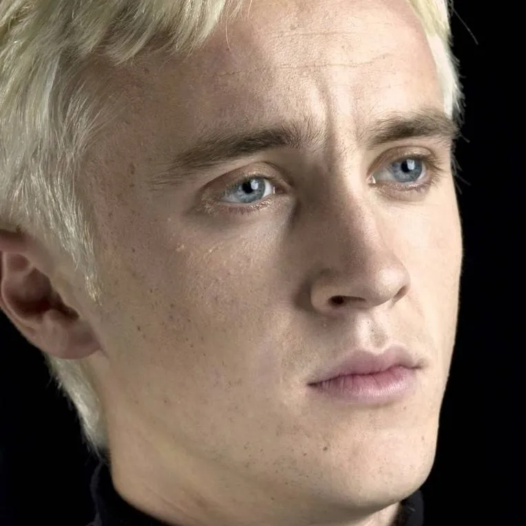 chat with ai character: Draco malfoy 