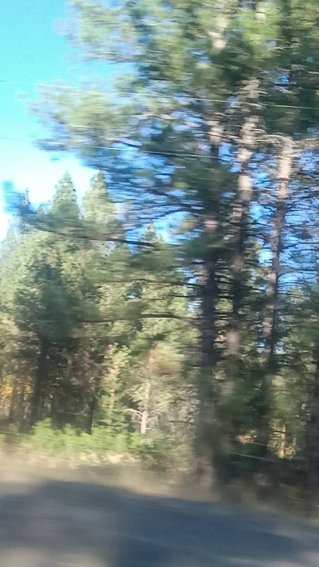ai character: sprinki road trip background