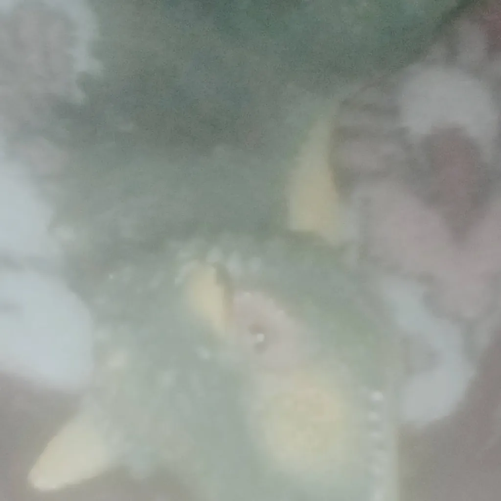 chat with ai character: QuesadillCrocodila