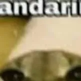 chat with ai character: mandarina 🍊