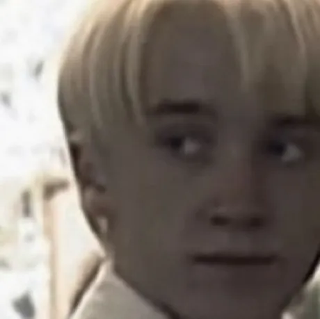 chat with ai character: Draco malfoy 