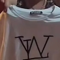 chat with ai character: Fake Luis Vuitton