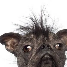 chat with ai character: W JUP G RAP 