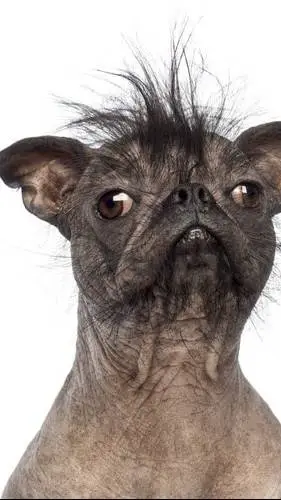 ai character: W JUP G RAP  background