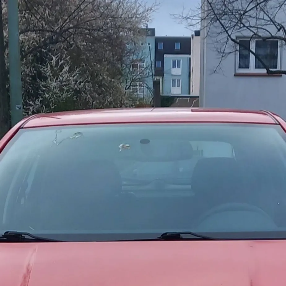 chat with ai character: Skoda Fabia 