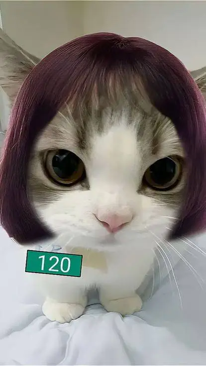 ai character: Cat hyun-ju  background