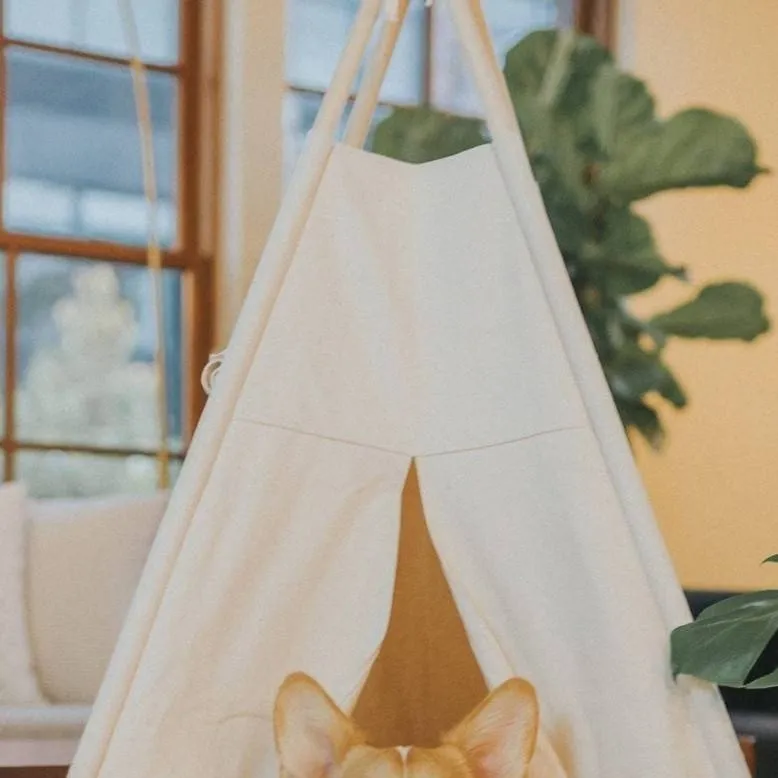 chat with ai character: the dog