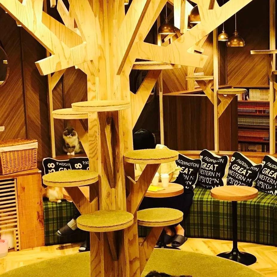 chat with ai character: cat cafe life