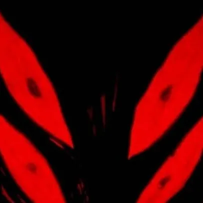 chat with ai character: Sukuna
