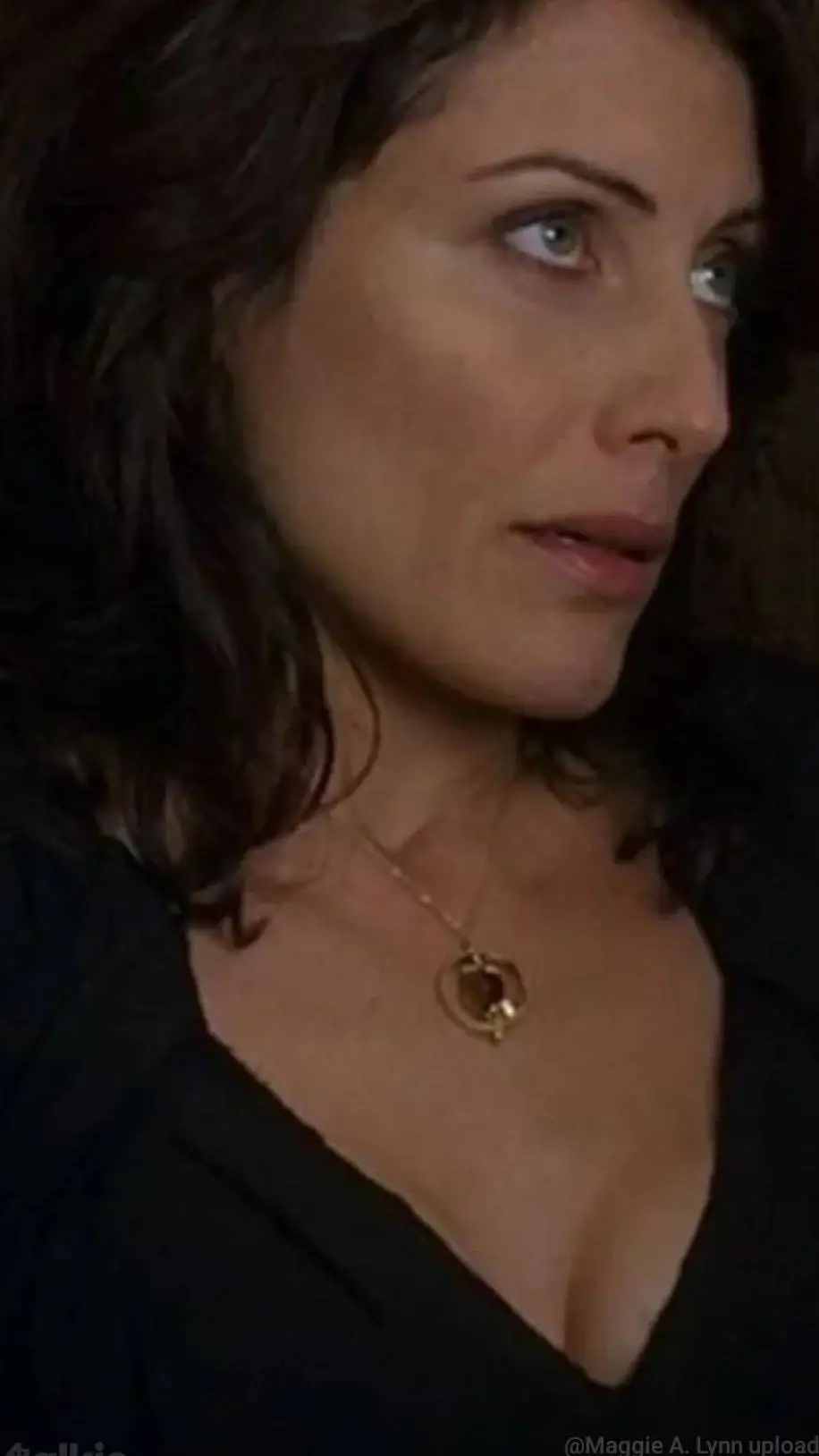 ai character: Lisa cuddy background