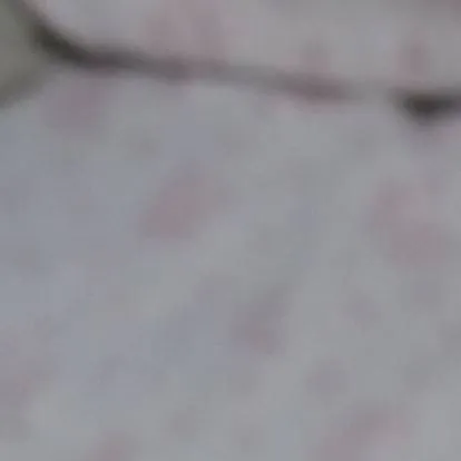 chat with ai character: ☆~•𝙰𝚗𝚝𝚘𝚗𝚒𝚊•~☆