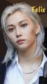 ai character: Felix skz background