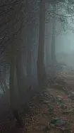 ai character: Bosque prohibido background