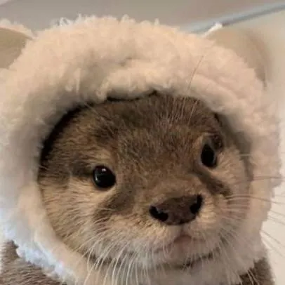 chat with ai character: animal