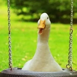 chat with ai character: oie