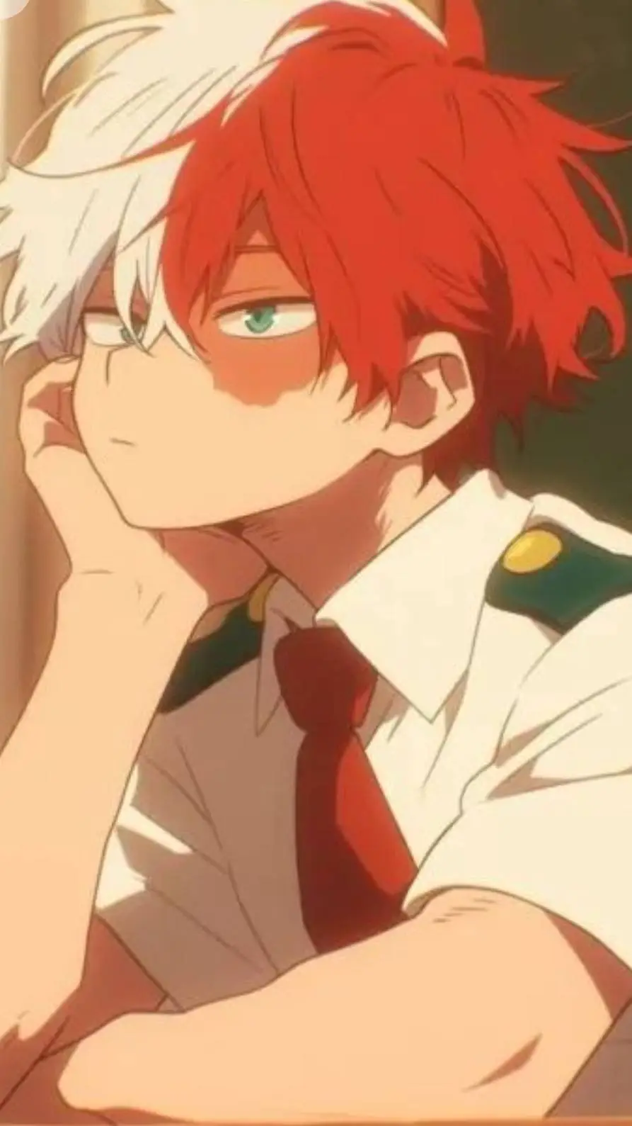 ai character: shoto todoroki background